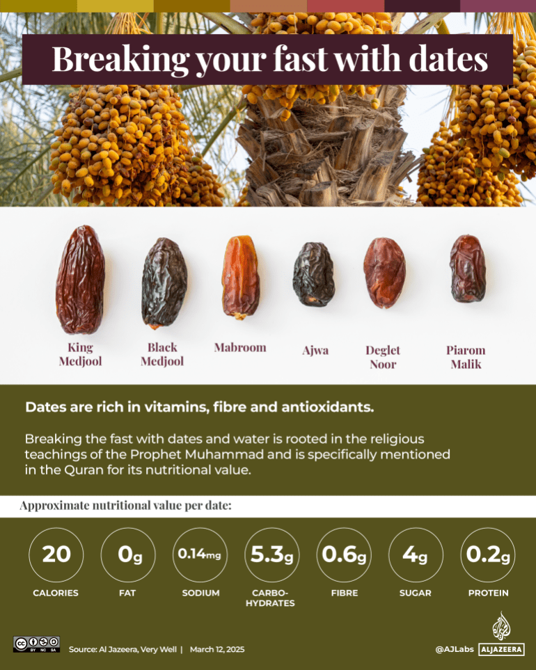 Ramadan 2025: Which countries grow the most dates? | Religion News