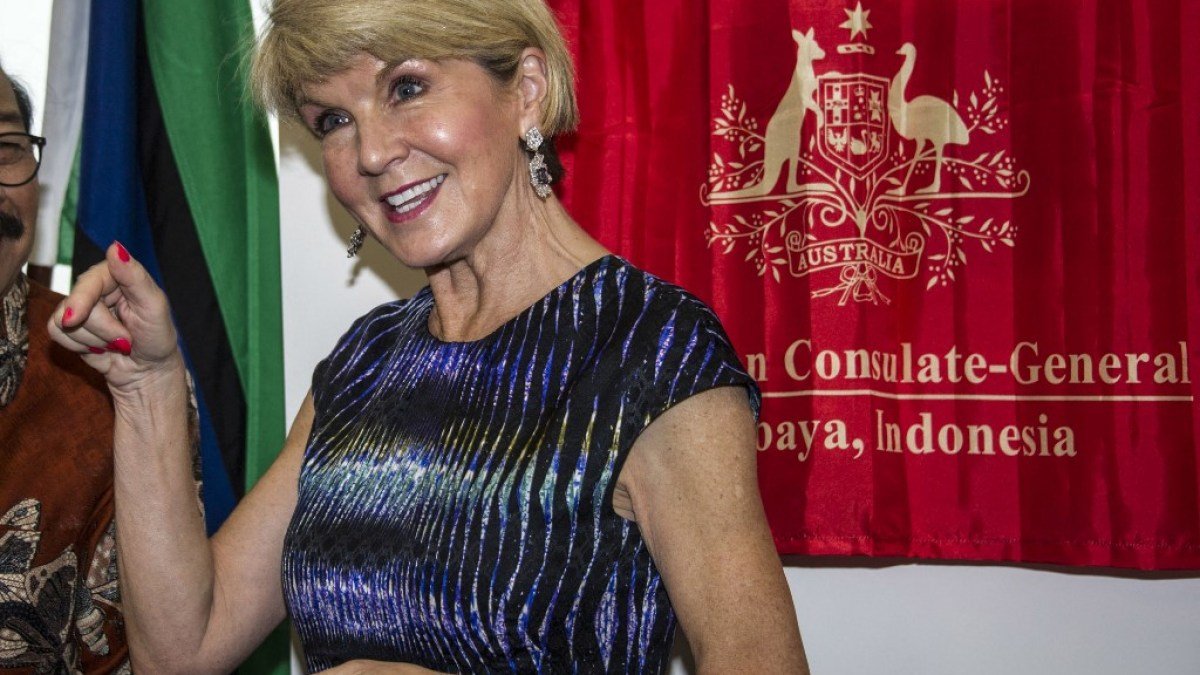 UN urged to probe Myanmar envoy Julie Bishop over alleged China firms ties | United Nations News