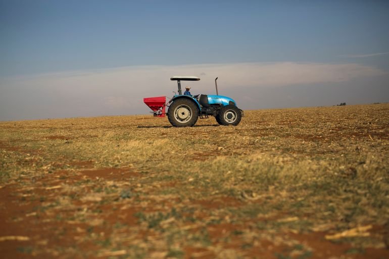 South Africa farm
