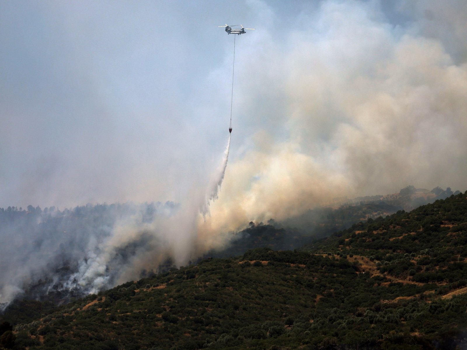 Turkiye’s Izmir, Hatay and Syria’s Latakia regions impacted by wildfires | Climate Crisis News